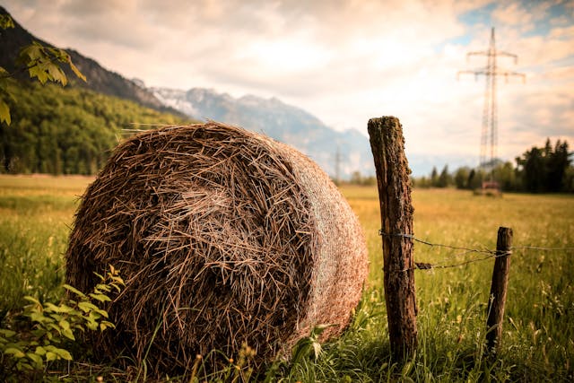 Piosenki country, które stały się hymnami Ameryki